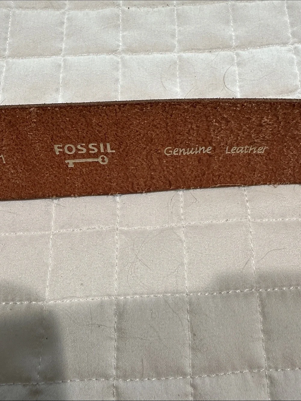 Fossil Women's Brown Leather Belt with Decorative Silver Bling Buckle
